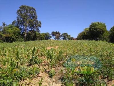 Terreno para Venda, em Araoiaba da Serra, bairro Cristvo