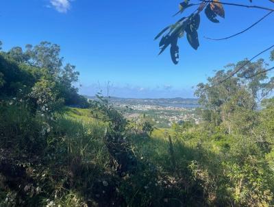 rea Rural para Venda, em Garopaba, bairro Ressacada