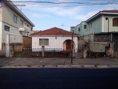 Terreno para Venda, em So Paulo, bairro Parque Edu Chaves