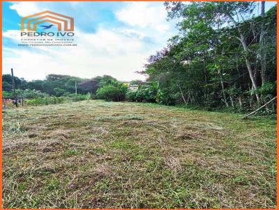 Terreno para Venda, em Lima Duarte, bairro Piuna