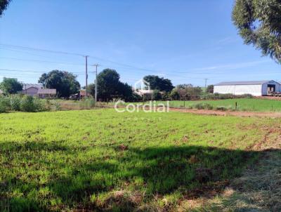 Terreno para Venda, em Trs de Maio, bairro Km 6