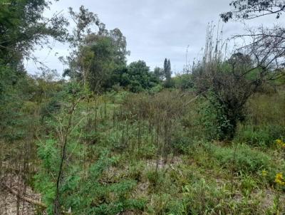 Terreno para Venda, em Santana do Livramento, bairro Palomas