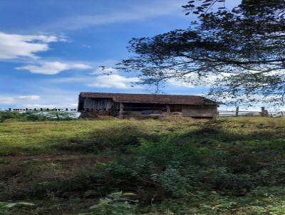 Stio para Venda, em Monte Sio, bairro RURAL