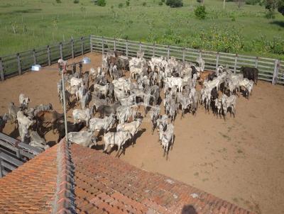 Fazenda para Venda, em Jaba, bairro ZONA RURAL