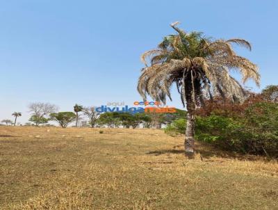 Fazenda para Venda, em , bairro Zona rural