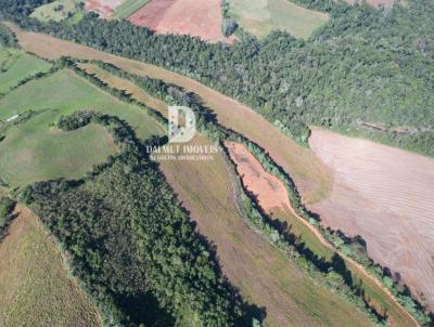 rea Rural para Venda, em Barra do Rio Azul, bairro 5 KM DO ASFALTO