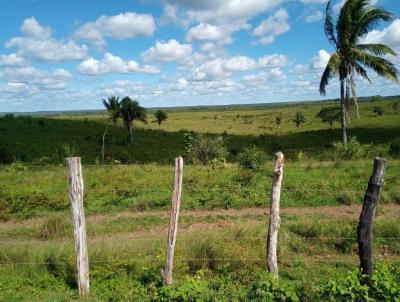 Fazenda para Venda, em So Mateus do Maranho, bairro Zona Rural