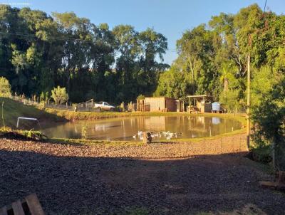 Stio para Venda, em Marau, bairro .