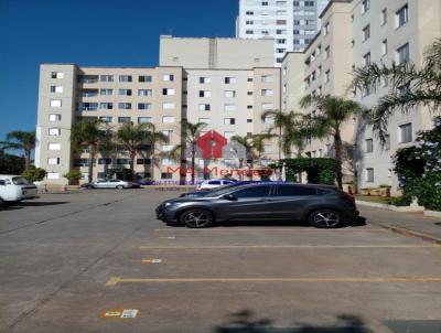 imagem-miniatura