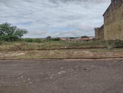 Terreno para Venda, em Bauru, bairro Vila Pacfico