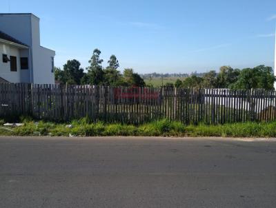 Terreno para Venda, em Sombrio, bairro So Luiz