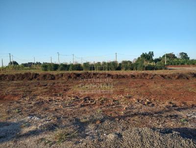 Terreno para Venda, em Tuparendi, bairro Erchardt Thober