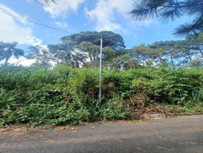 Terreno para Venda, em Santana de Parnaba, bairro Parque Sinai