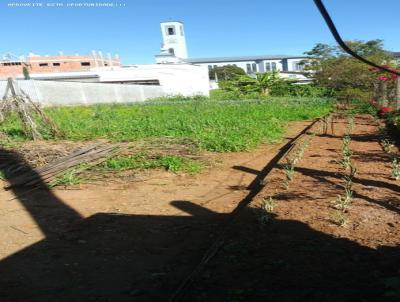 Terreno para Locao, em David Canabarro, bairro Centro