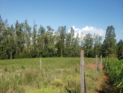 Terreno para Venda, em Espumoso, bairro Interior