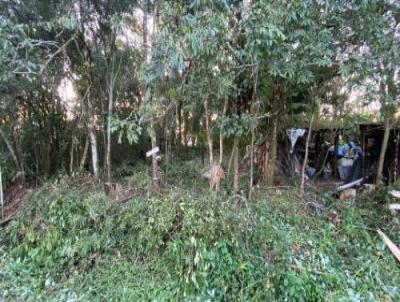 Terreno para Venda, em Itanham, bairro Gaivota