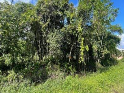 Terreno para Venda, em Itanham, bairro Palmeiras