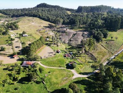 Terreno Rural para Venda, em Rio do Sul, bairro Serra Taboo