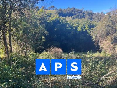 Chcara para Venda, em Brumadinho, bairro So Jos do Paraopeba