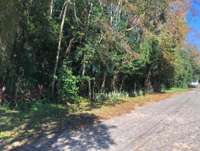 Terreno para Venda, em Caxias do Sul, bairro Cruzeiro