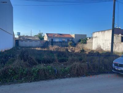 Terreno para Venda, em Itapo, bairro So Jos
