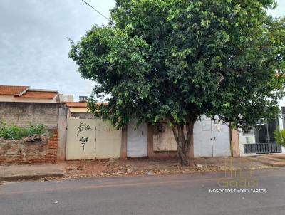 Terreno para Venda, em Assis, bairro Centro