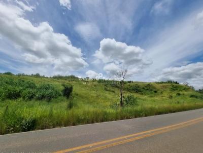 Terreno para Venda, em Cataguases, bairro 