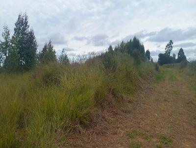 rea para Venda, em Jarinu, bairro Pitangal