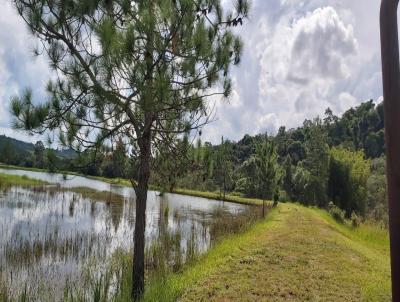 Stio para Venda, em Jarinu, bairro gua preta