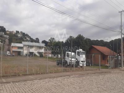 Terreno para Locao, em Garibaldi, bairro Garibaldina