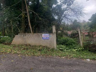 Terreno para Venda, em Campina Grande do Sul, bairro Santa Ceclia