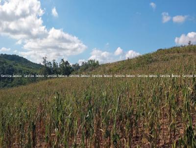 rea Rural para Locao, em Mariana Pimentel, bairro Estrada Mina do Papalo, 4 dormitrios, 1 banheiro, 2 vagas