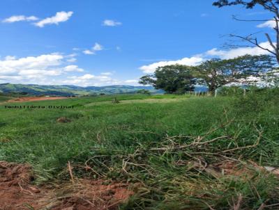 Chcara para Venda, em Inconfidentes, bairro RURAL