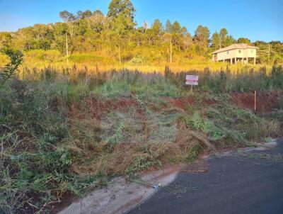 Terreno para Venda, em Concrdia, bairro Tamandu