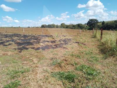 rea para Venda, em Rio Verde, bairro Zona Rural