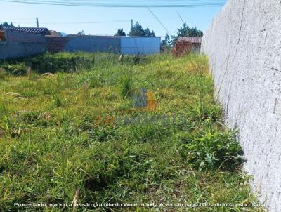 Terreno para Venda, em Piraquara, bairro Planta Deodoro