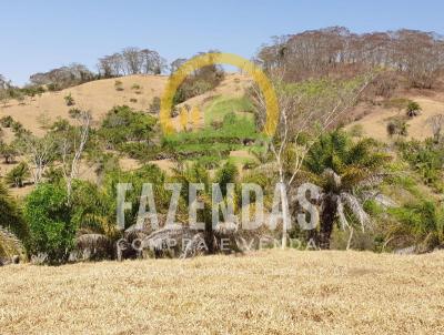 Fazenda para Venda, em Morrinhos, bairro Zona Rural