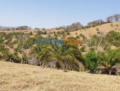 Fazenda para Venda, em Morrinhos, bairro Zona rural