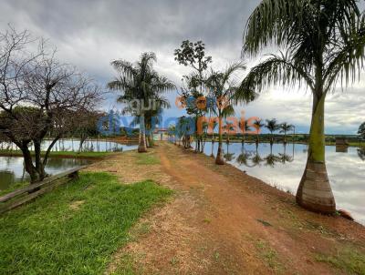 Fazenda para Venda, em Morrinhos, bairro Zona rural