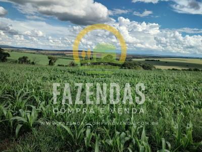 Fazenda para Venda, em Morrinhos, bairro Zona Rural