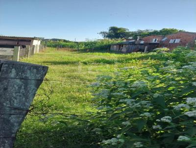 Terreno para Venda, em Cachoeira do Sul, bairro Mau