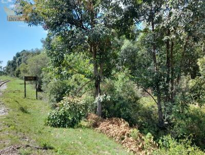 Terreno para Venda, em Santana do Livramento, bairro ..