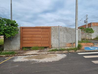 imagem-miniatura