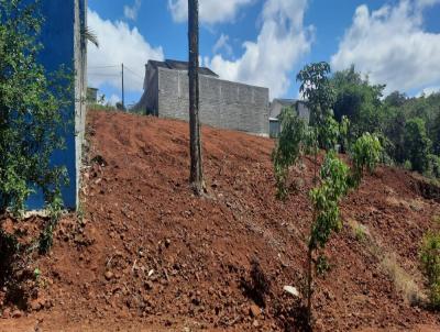 Terreno para Venda, em Frederico Westphalen, bairro Distrito Industrial