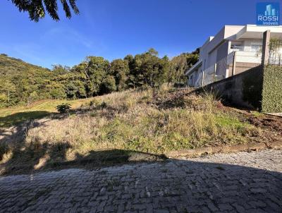 Terreno Residencial para Venda, em Erechim, bairro So Caetano