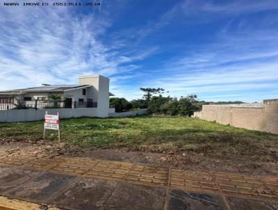 Terreno para Venda, em Santa Rosa, bairro NOVO HORIZONTE