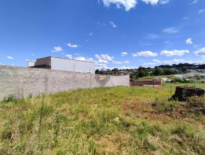 Casa para Venda, em Carazinho, bairro Bairro Winckler, 2 dormitrios, 1 banheiro