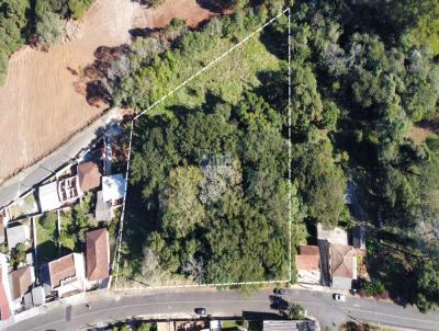 Terreno para Venda, em Telmaco Borba, bairro Centro