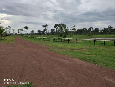 Fazenda para Venda, em bidos, bairro Zona Rural