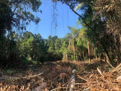 Terreno para Venda, em Itanham, bairro Gaivota